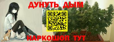 бошки Краснокаменск