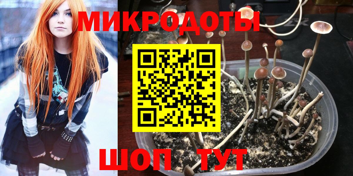 Галлюциногенные грибы прущие грибы Углич