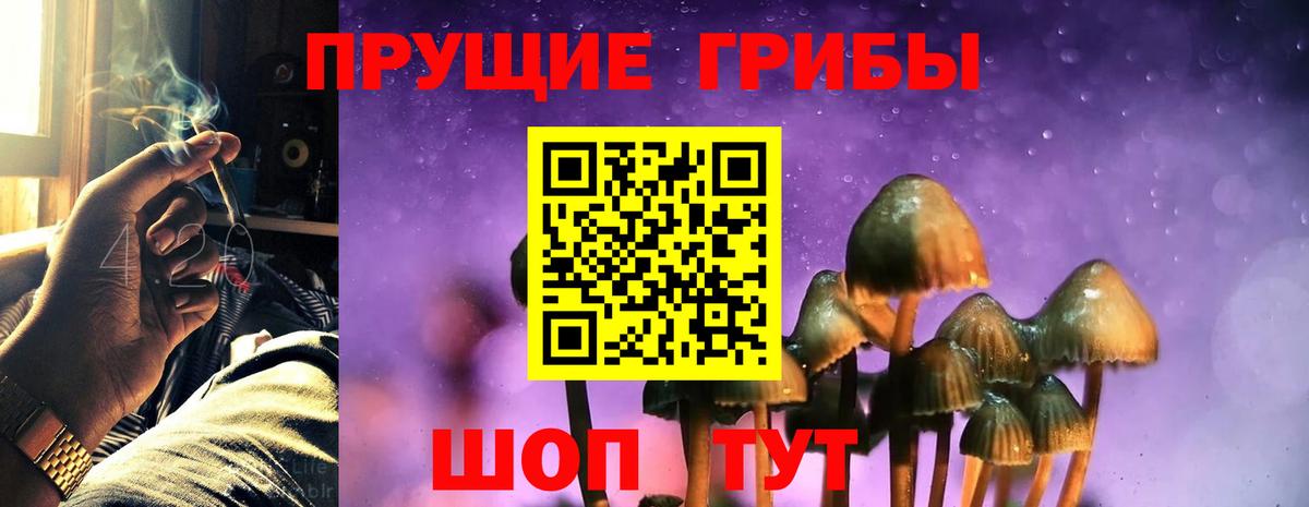 Псилоцибиновые грибы мицелий  Вход с VPN  Углич  цены наркотик  Галлюциногенные грибы ЛСД 